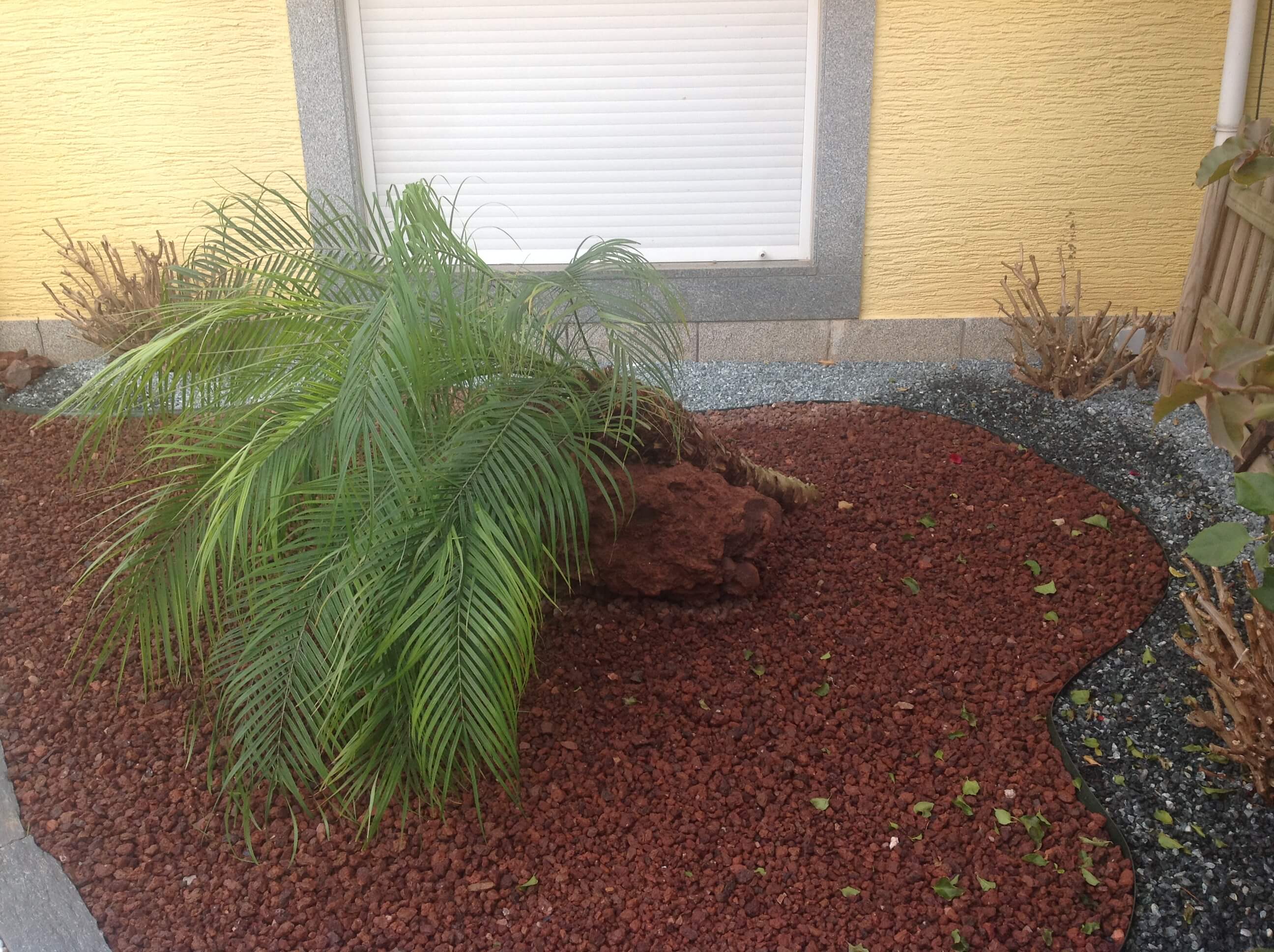 pedra em jardim com separador