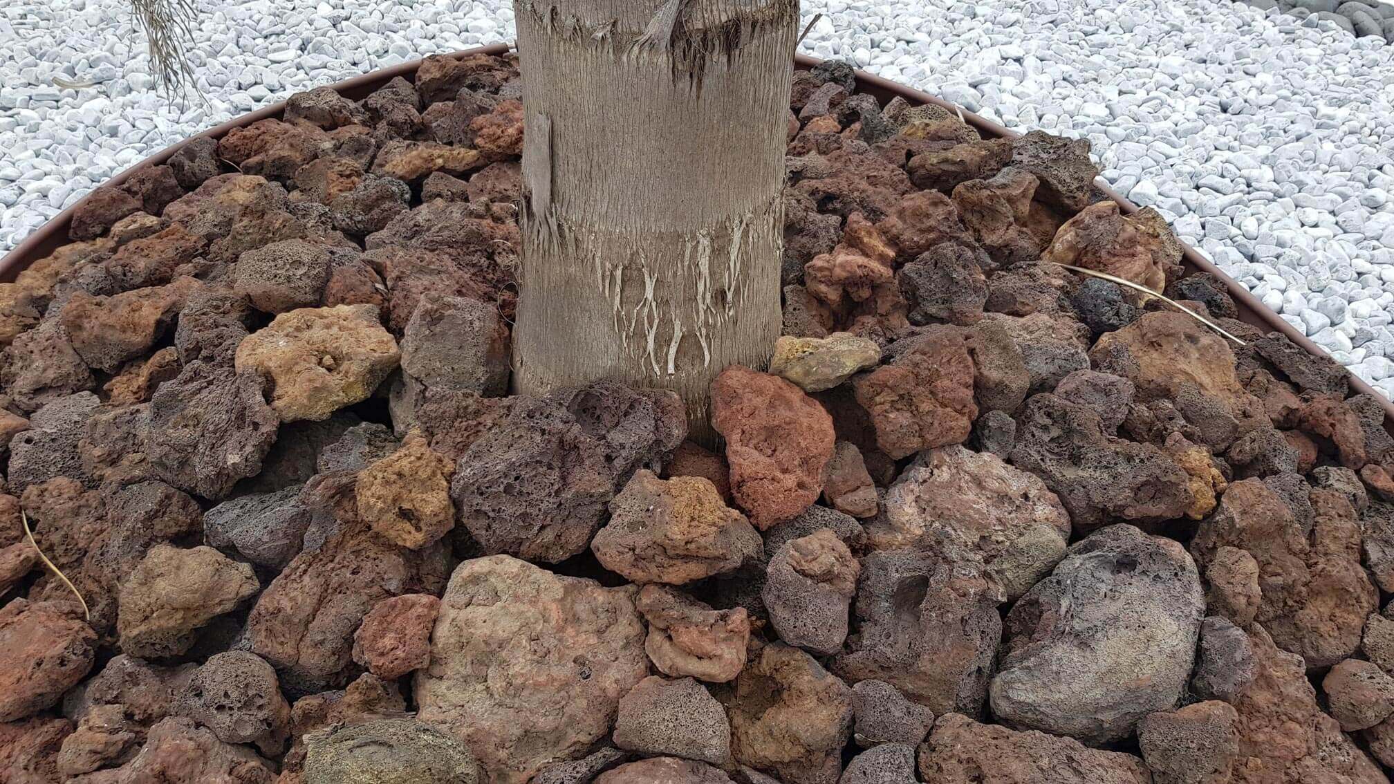 pedra vulcânica e separador plástico com borda